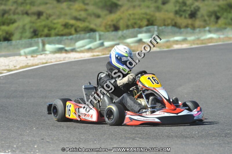 DSC (2727).JPG